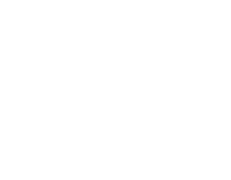 Joylong